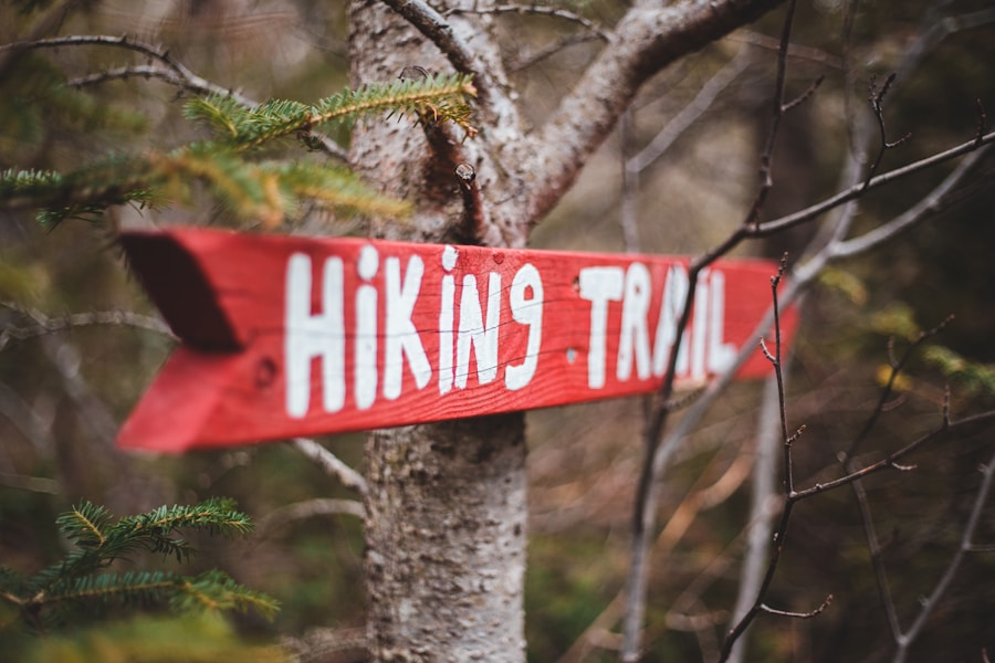 Photo "Common Phrases for Survival English"